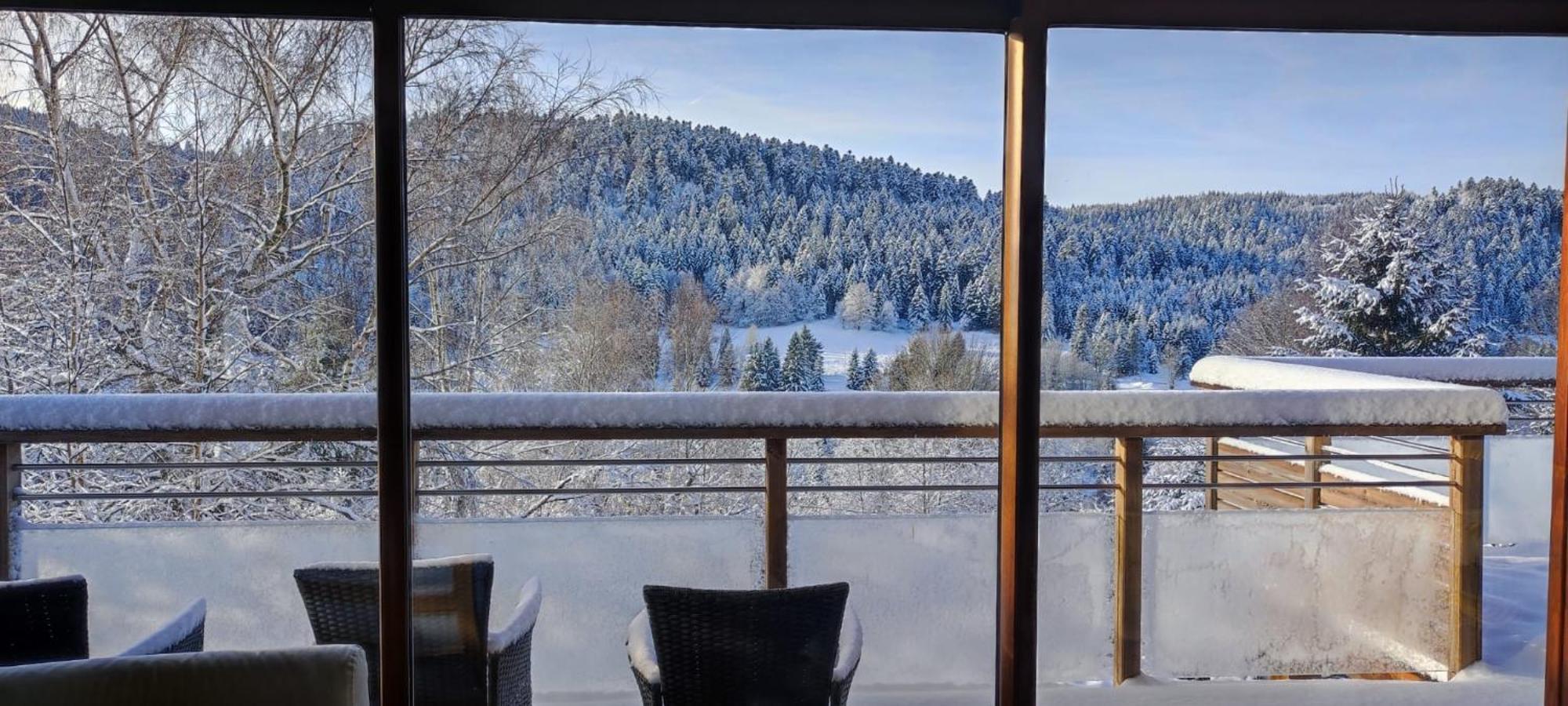 Le Cerf, Chalet Cocooning Avec Piscine Et Billard Ban-sur-Meurthe-Clefcy Exterior foto